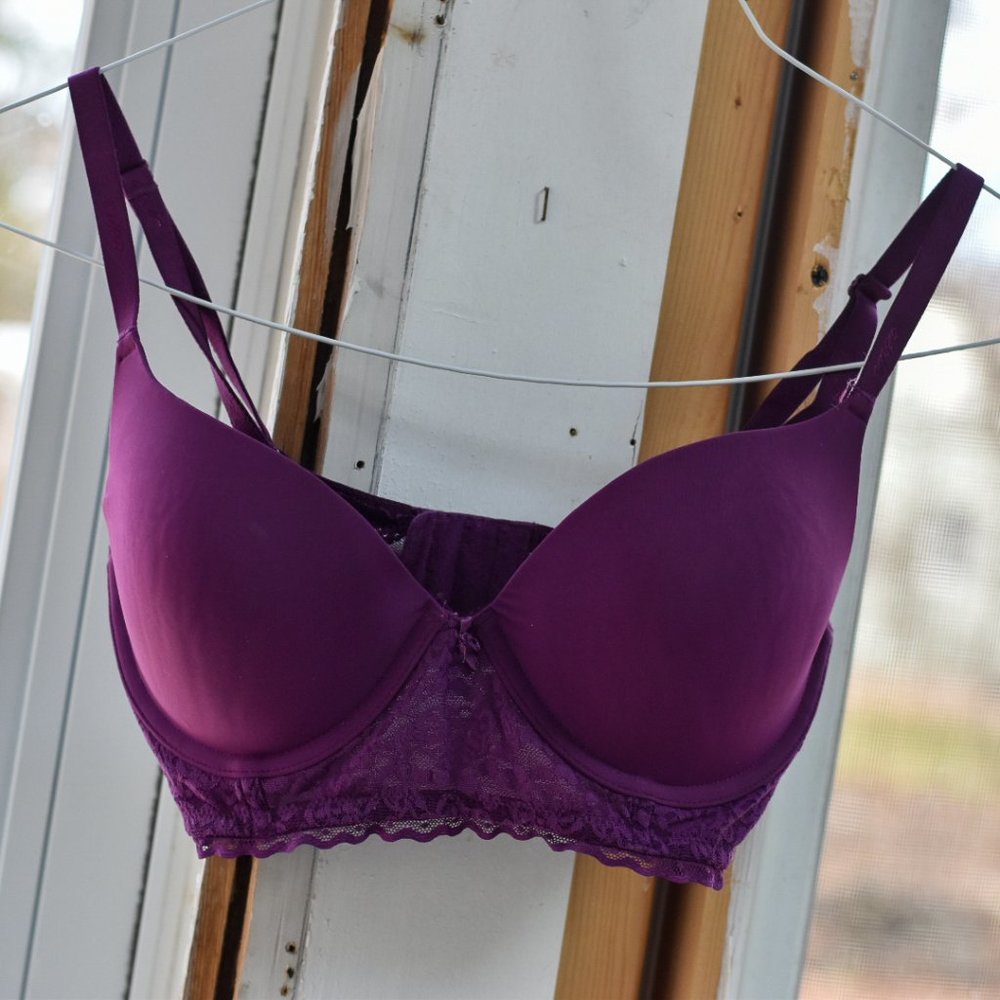 Aerie 32DD Purple Lace Long-line Push-Up Bra